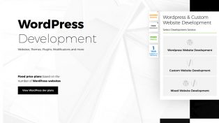 Devevolve - Wordpress Plans 1 Devevolve – WordPress Plans
