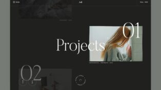 Asli – AJAX & WebGL WordPress Theme 4 Asli – AJAX & WebGL WordPress Theme