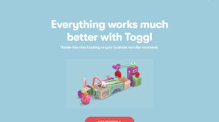 Toggl 4 Toggl