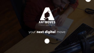 AntMoves 11 AntMoves