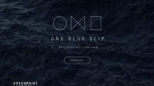 One Blue Slip 11 One Blue Slip