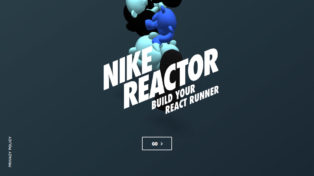 Nike Reactor 2 Nike Reactor
