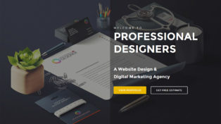 Professional Designers