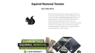 Squirrel Removal 8 Squirrel Removal