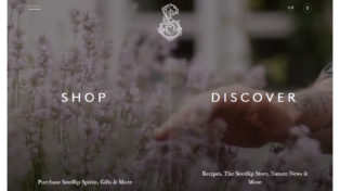 Seedlip