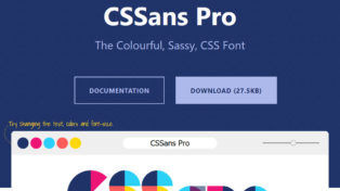 CSSans Pro
