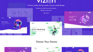 vizion