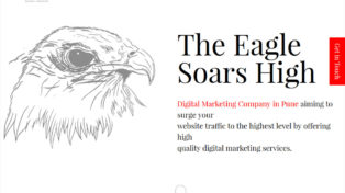 Mohite Digital Services 6 Mohite Digital Services