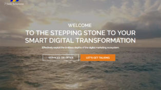 Digital Marketing Company in India