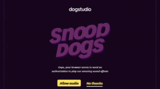 Snoop Dogs 4 Snoop Dogs