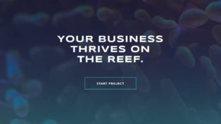 Split Reef