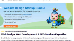 Web Designing, Development, SEO