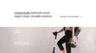 District2 Studio