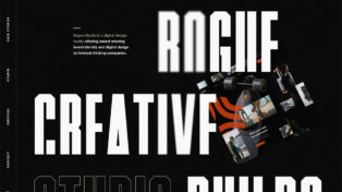 Rogue Studio