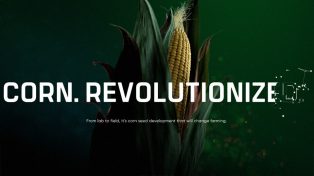 Pioneer - Corn Revolutionized 4 Pioneer – Corn Revolutionized