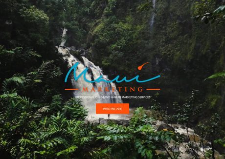 Maui Marketing Online Agency 9 Maui Marketing Online Agency