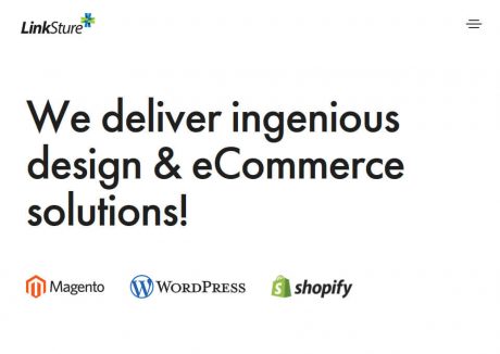 LinkSture - A Digital media agency 7 LinkSture – A Digital media agency