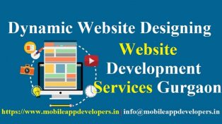 Website Designing Company Gurgaon 1 Website Designing Company Gurgaon
