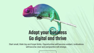 iCentric - Digital Agency 10 iCentric – Digital Agency
