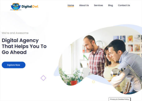 Digital Owl 9 Digital Owl