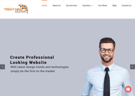 Website Development, e-Commerce Web Development Agency Delhi 5 Website Development, e-Commerce Web Development Agency Delhi