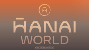 Hanai World 8 Hanai World