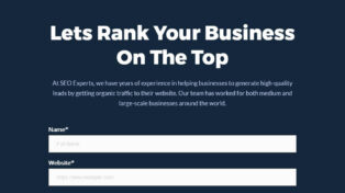 SEO Experts 8 SEO Experts