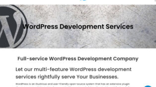 Wordpress Design Agency 2 WordPress Design Agency