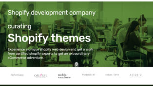Shopify Development Company 5 Shopify Development Company