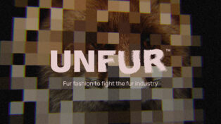 UNFUR Project 11 UNFUR Project