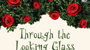 Through the Looking Glass 8 Through the Looking Glass