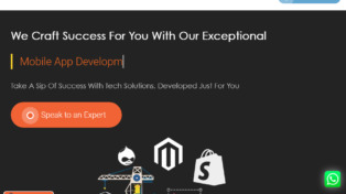 Axis Web Art Web Pvt. Ltd. 1 Axis Web Art Web Pvt. Ltd.
