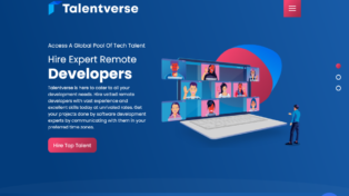 TalentVerse LLC 2 TalentVerse LLC