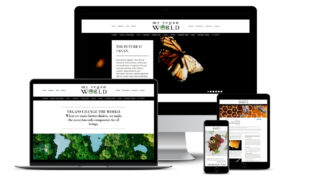 My Vegan World 4 My Vegan World
