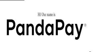 Pandapay 9 Pandapay