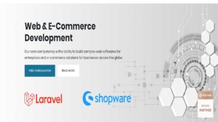 Shopware Development Services 10 Shopware Development Services