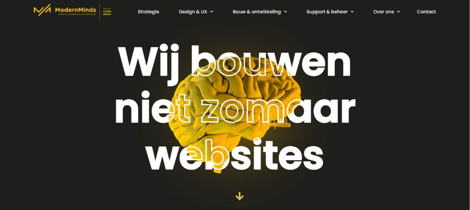 Top 10 Magento Development Companies in The Netherlands 6 modernminds