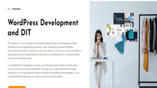 Wordpress Development Company 4 WordPress Development Company