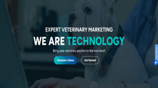 Websy Vet 8 Websy Vet