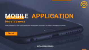 Amplework Software 8 Amplework Software
