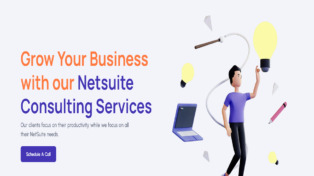 Netsuite Functional Consultant 11 Netsuite Functional Consultant