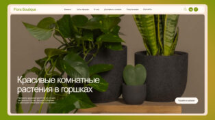 Flora Boutique | Houseplants 1 Flora Boutique | Houseplants