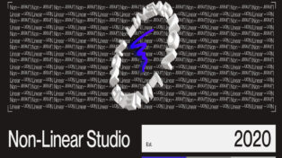 Non-Linear Studio 10 Non-Linear Studio