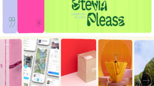 Stevia Please 1 Stevia Please