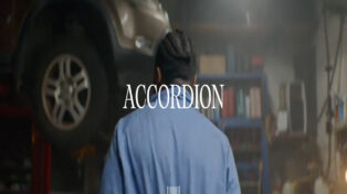 Accordion 11 Accordion