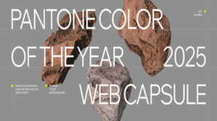 Wix Studio x Pantone Color of the Year 2025 2 Wix Studio x Pantone Color of the Year 2025