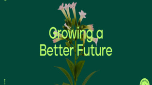 Bright Biotech 4 Bright Biotech