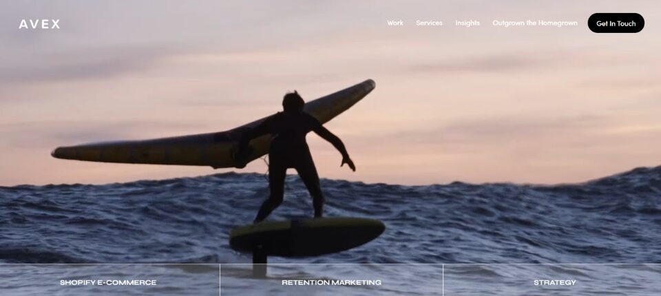 Top 10 eCommerce Development Companies in New York 5 Avex