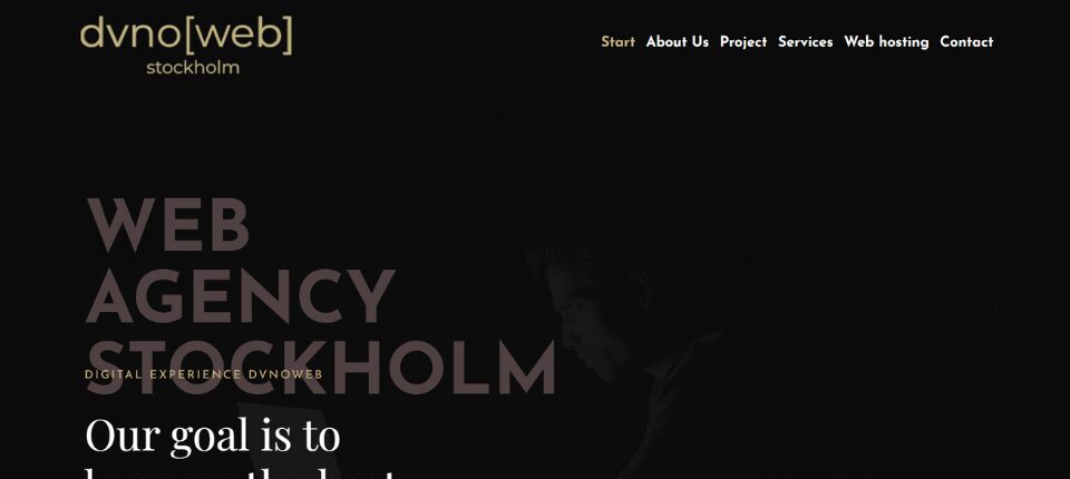 Top 10 Web Development Companies in Sweden 5 DVNOWEB