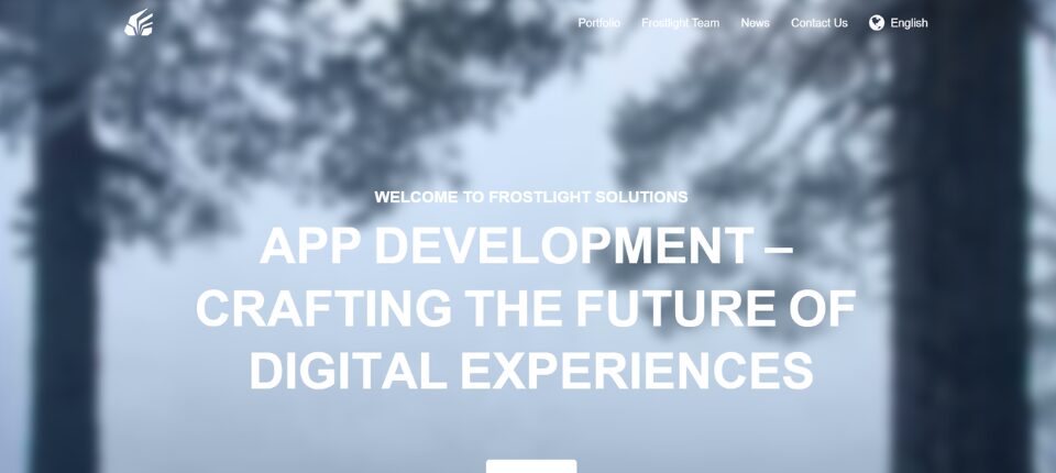 Top 10 Web Development Companies in Sweden 4 Frostlight Solutions